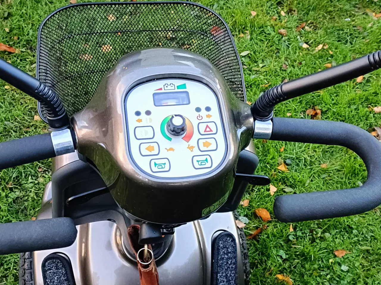 Billede 2 - Mokka sælges 