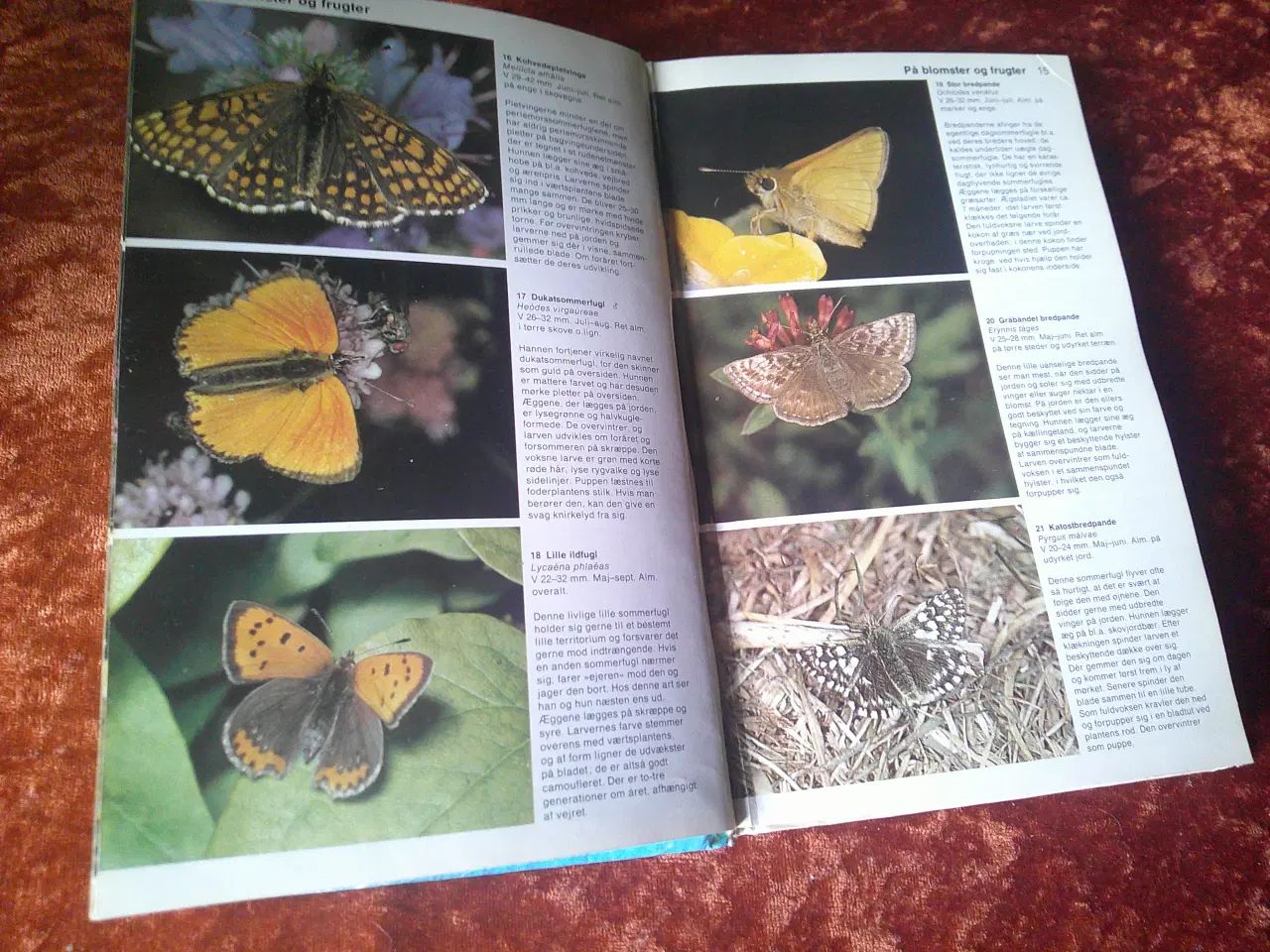 Billede 2 - Småkræ, Åke Sandhall,