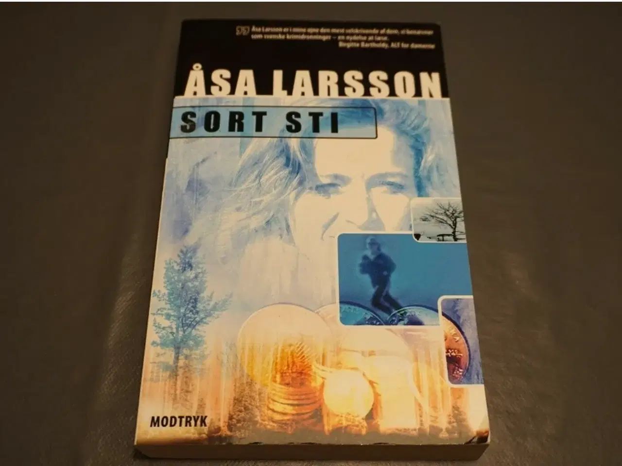 Billede 1 - Sort sti, Åsa Larsson