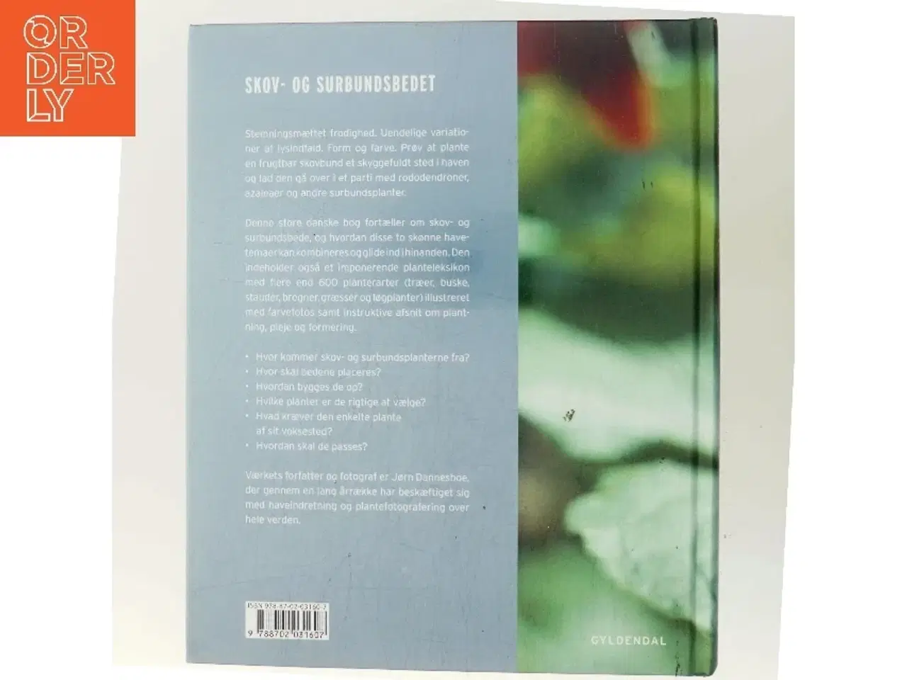 Billede 3 - Skov- og surbundsbedet af Jørn Dannesboe (Bog)