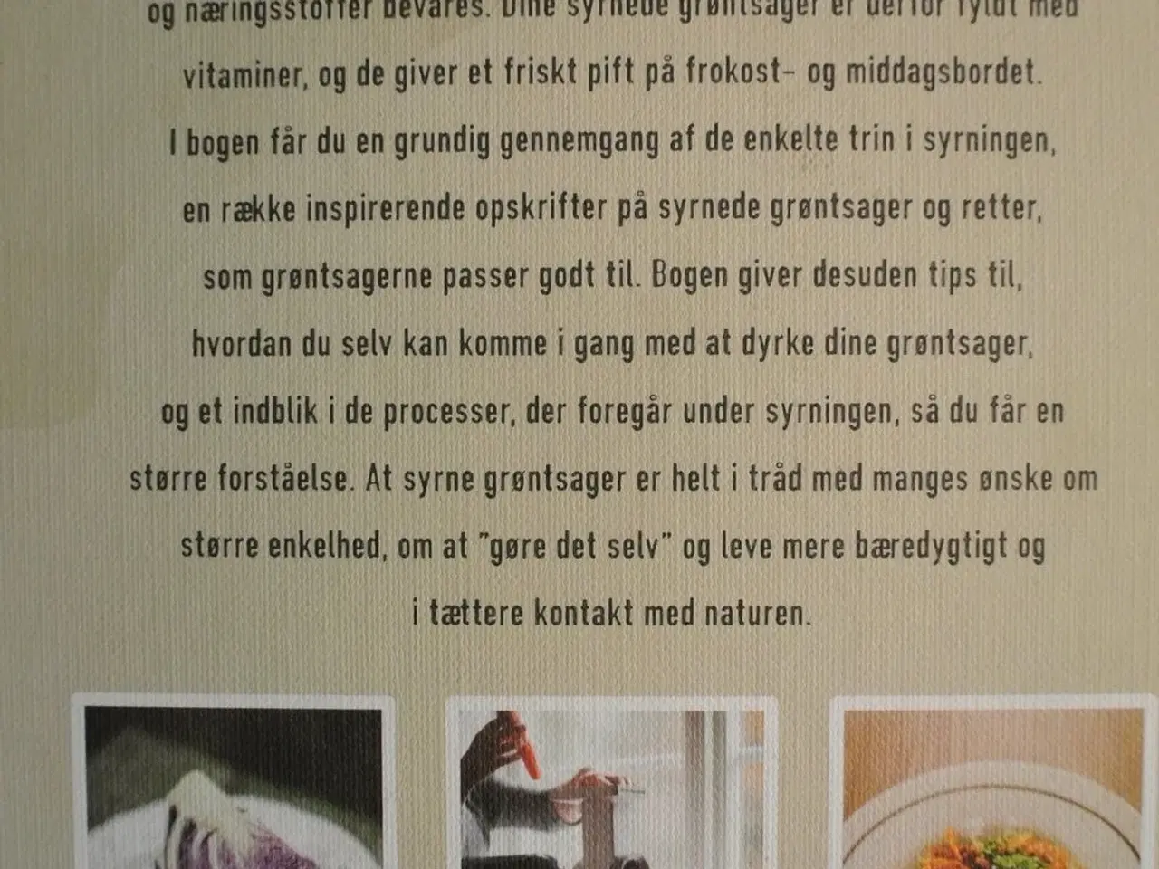 Billede 3 - syrn selv - sund konservering og forædling med mæl
