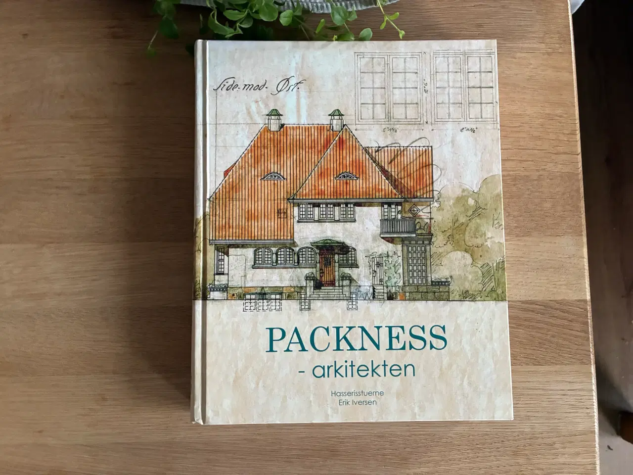 Billede 1 - PACKNESS - arkitekten