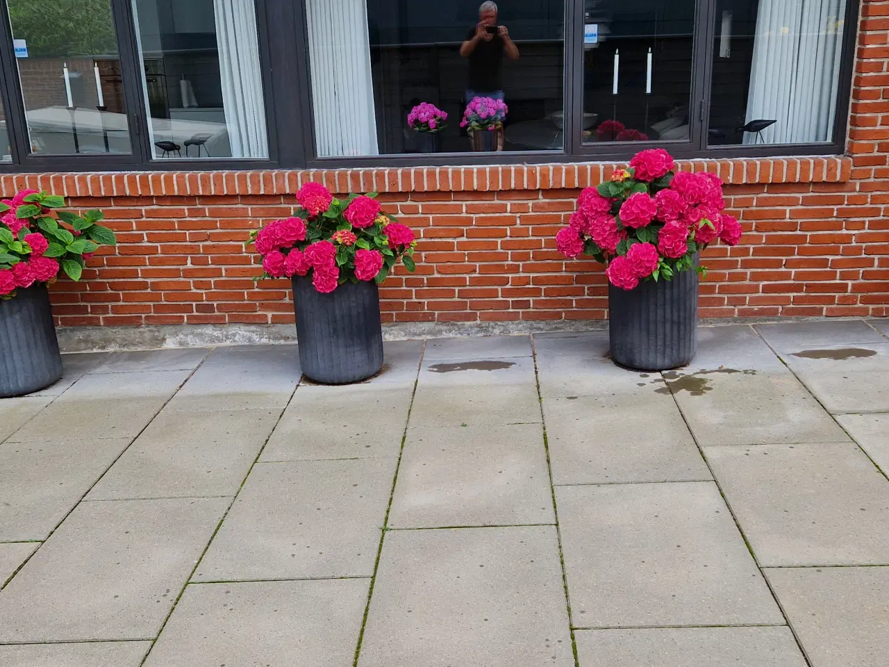 Billede 2 - Krukker til haven