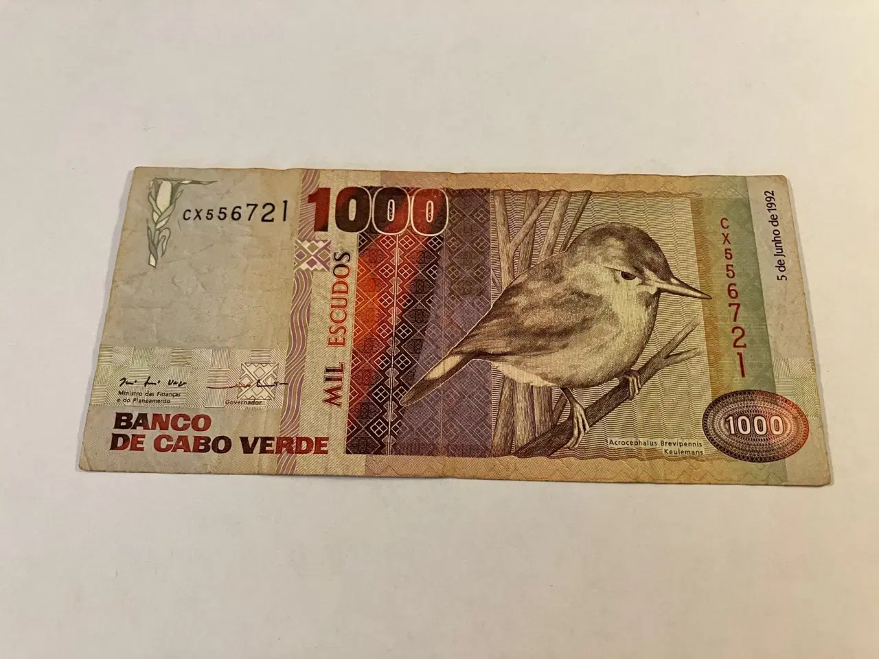 Billede 1 - 1000 Escudos Cape Verde 1992