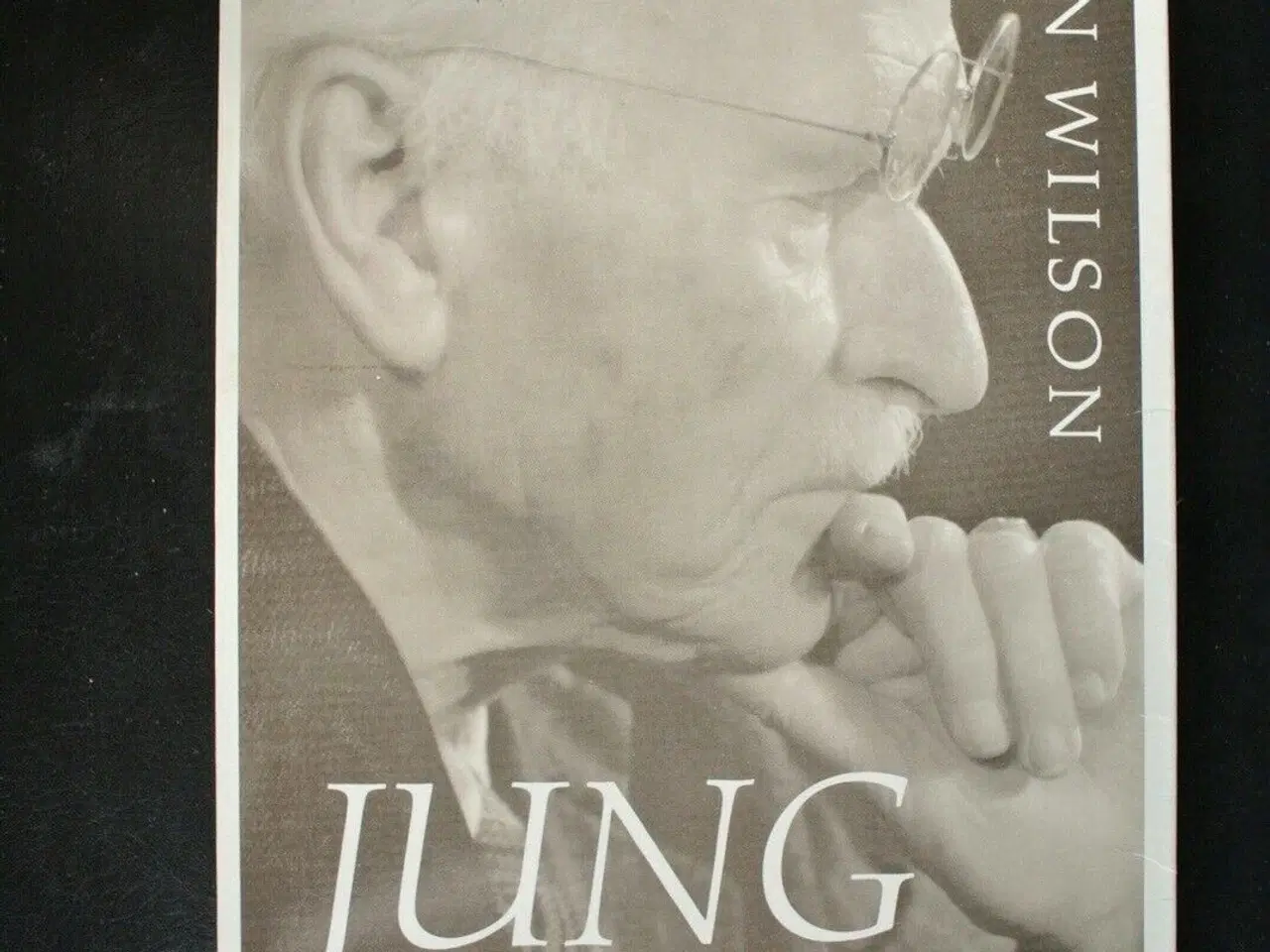 Billede 1 - jung - videnskabsmand og mystiker, af colin wilson
