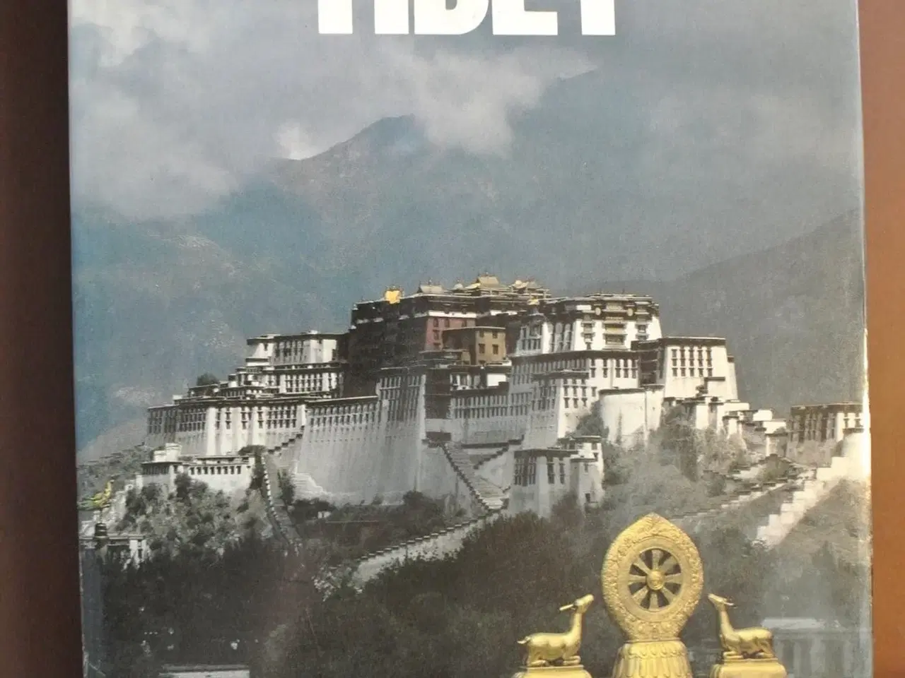 Billede 1 - tibet, by ngapo ngawang jigmei