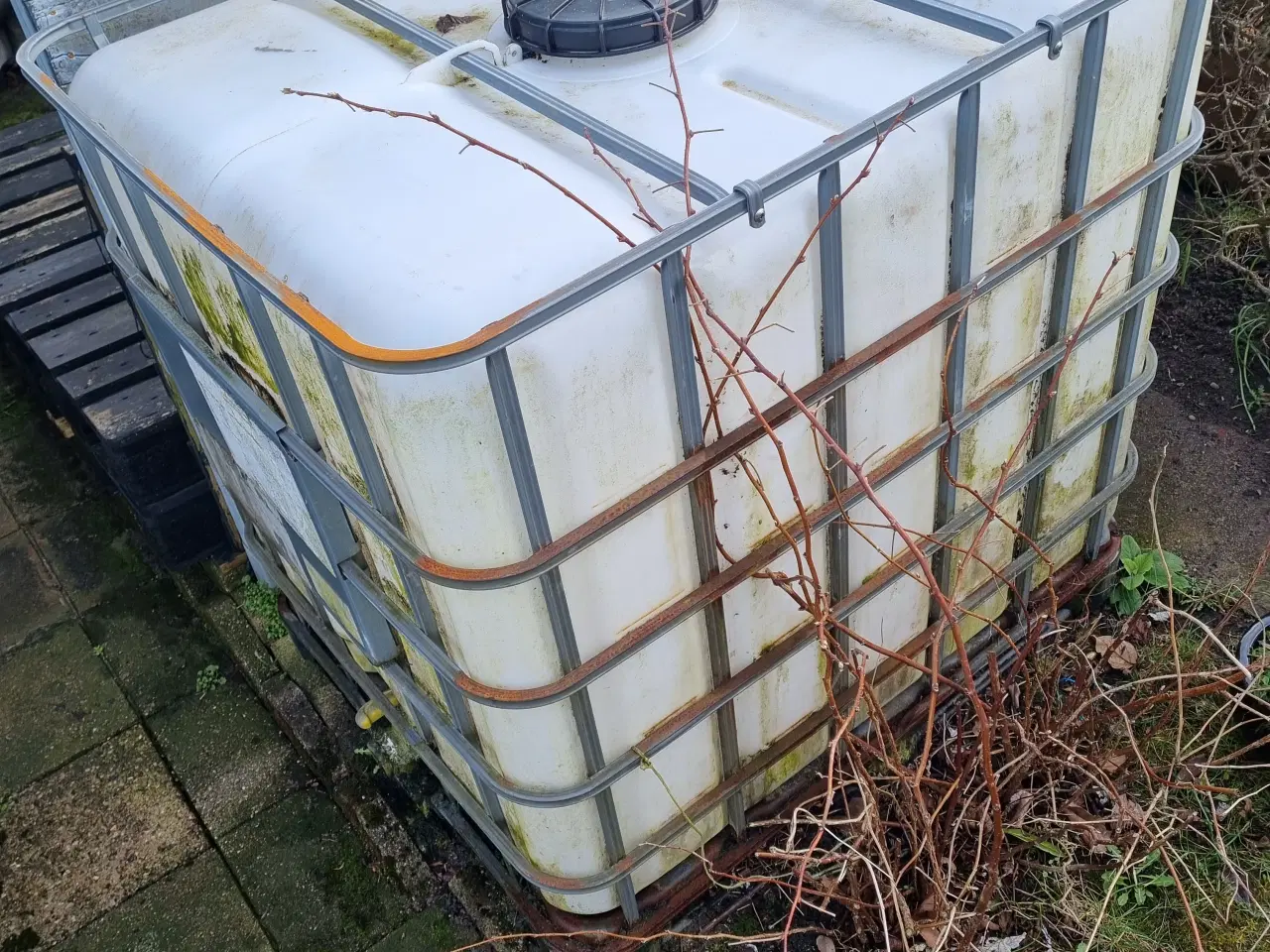 Billede 2 - Palletank regnvandsbeholder Odense 