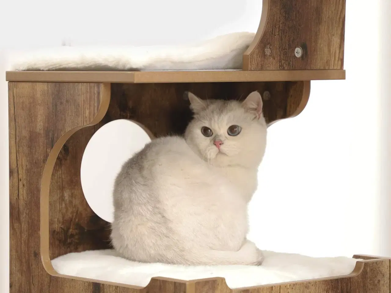 Billede 7 - Kattetræ – FEANDREA 86 cm, mellem kattetårn med 3 liggepladser og hule, MDF med træfiner, sisalstolpe og vaskbart kunstpels – rustik brun/hvid