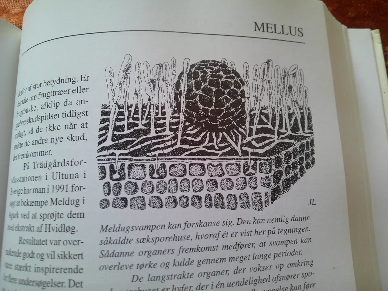 Billede 4 - Den grønne bog, Frank Hejndorf