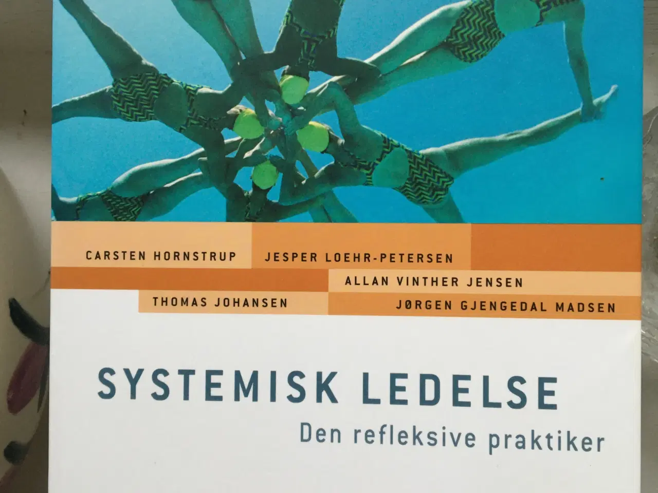 Billede 1 - Systemisk ledelse