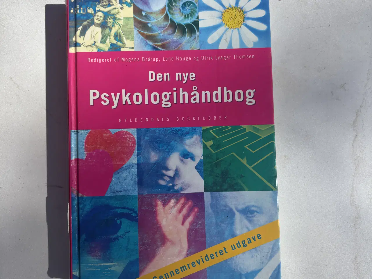 Billede 1 - Psykologi håndbog 