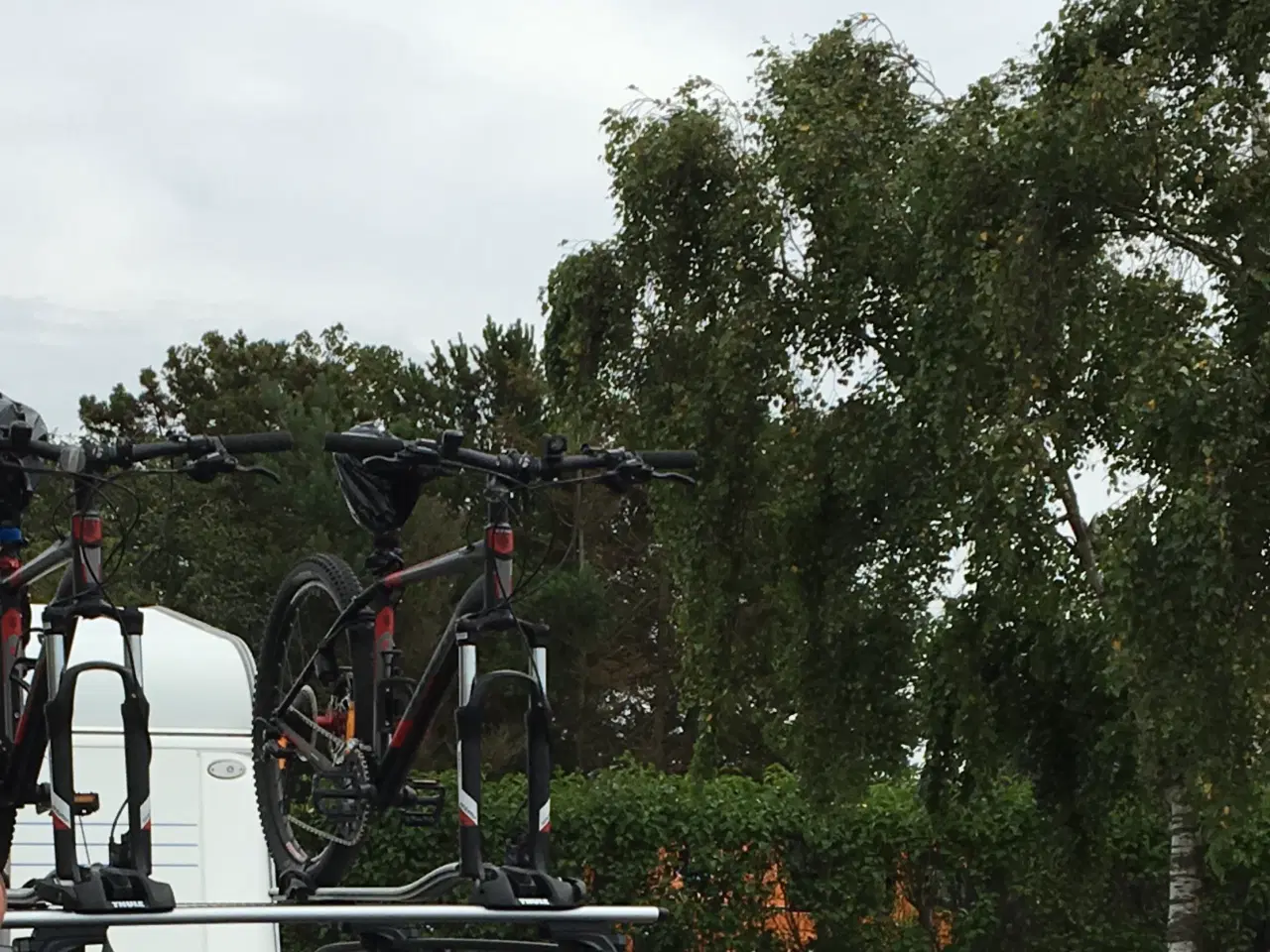 Billede 6 - Komplet cykelstativ til tagræling fra Thule