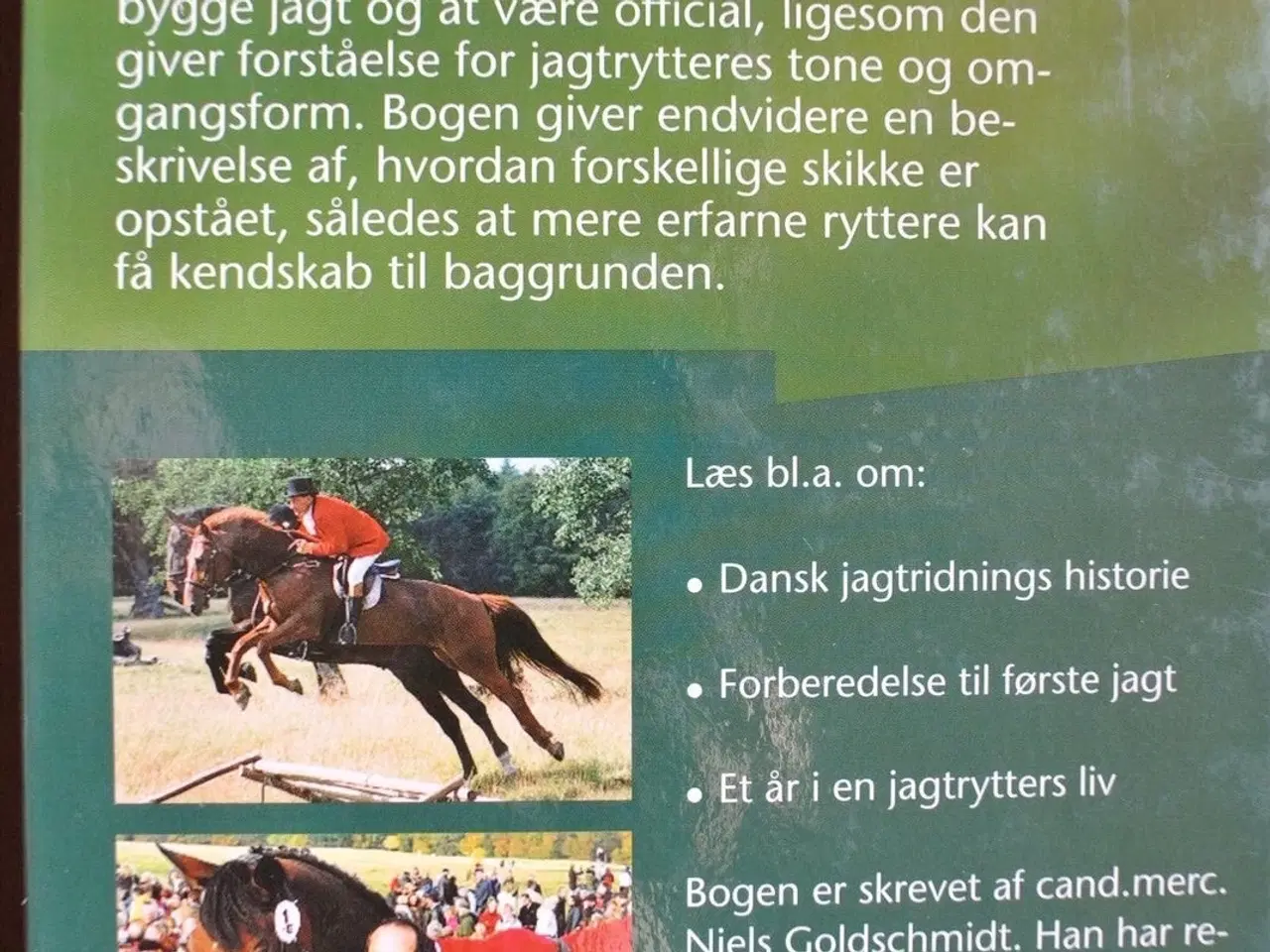 Billede 3 - jagtridning, af niels goldschmidt, emne: jagt