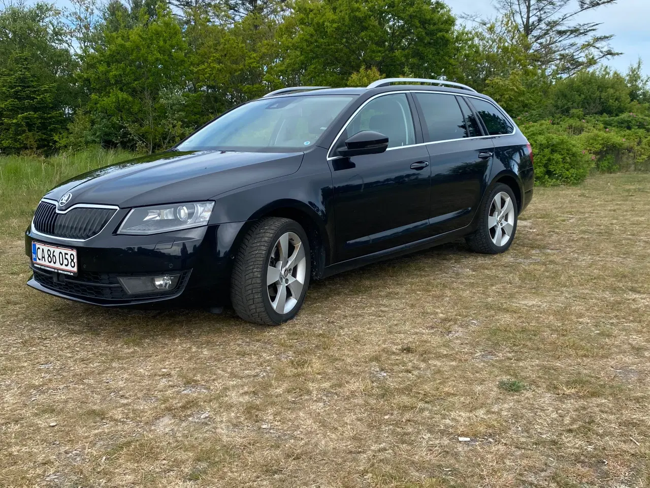 Billede 1 - Skoda Octavia 2.0 TDI Elegance