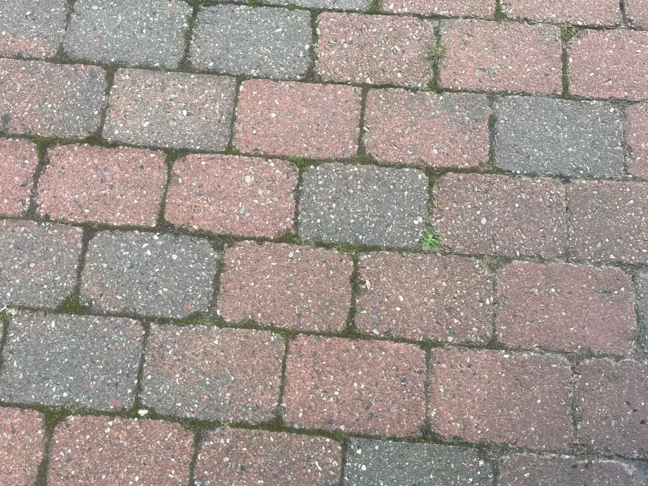 Billede 1 - Gratis Belægningssten