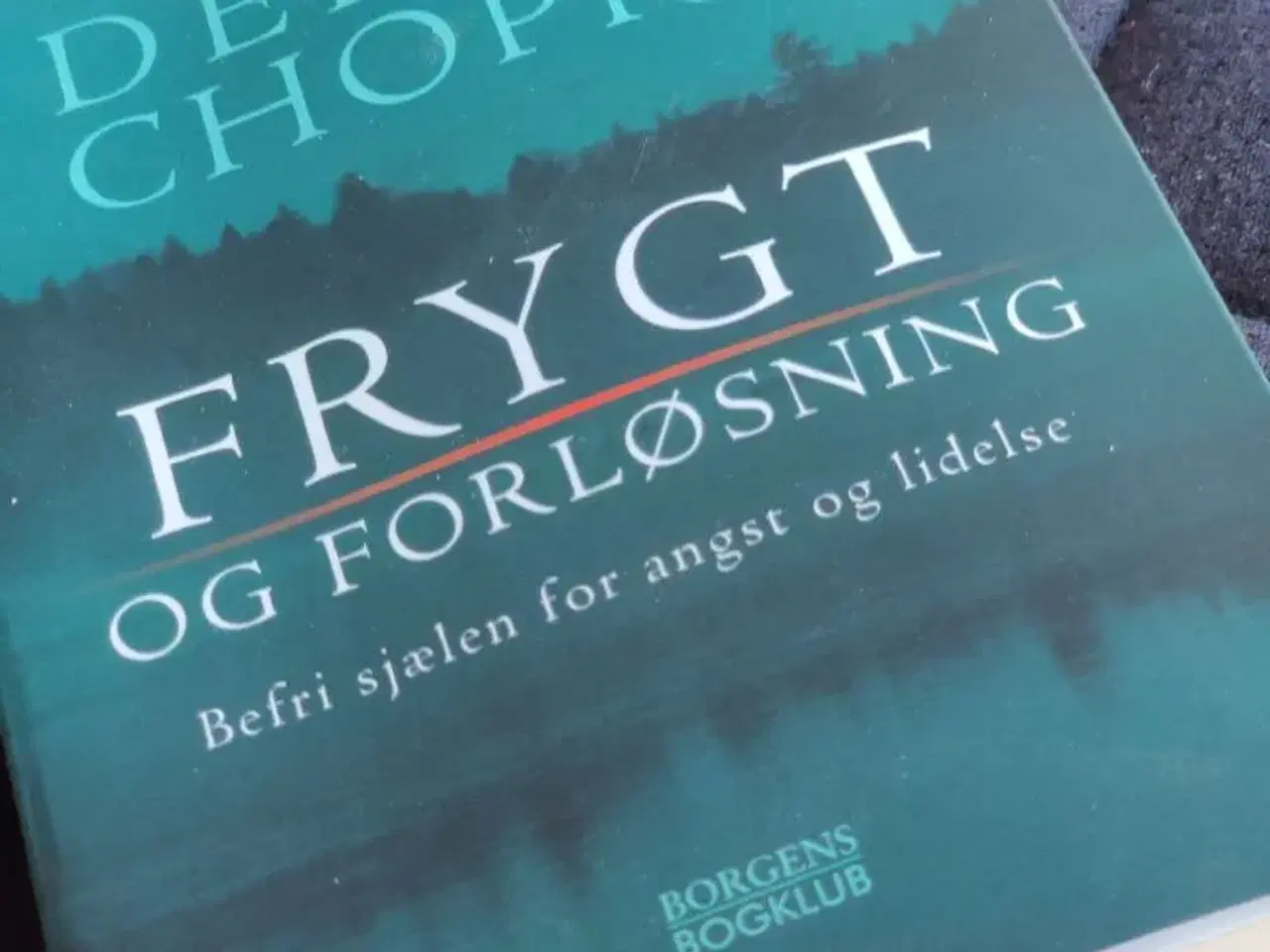 Billede 1 - Bog Frygt og Forløsning