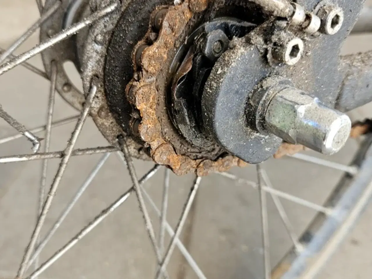 Billede 1 - Jeg søger 28" 7 speed baghjul