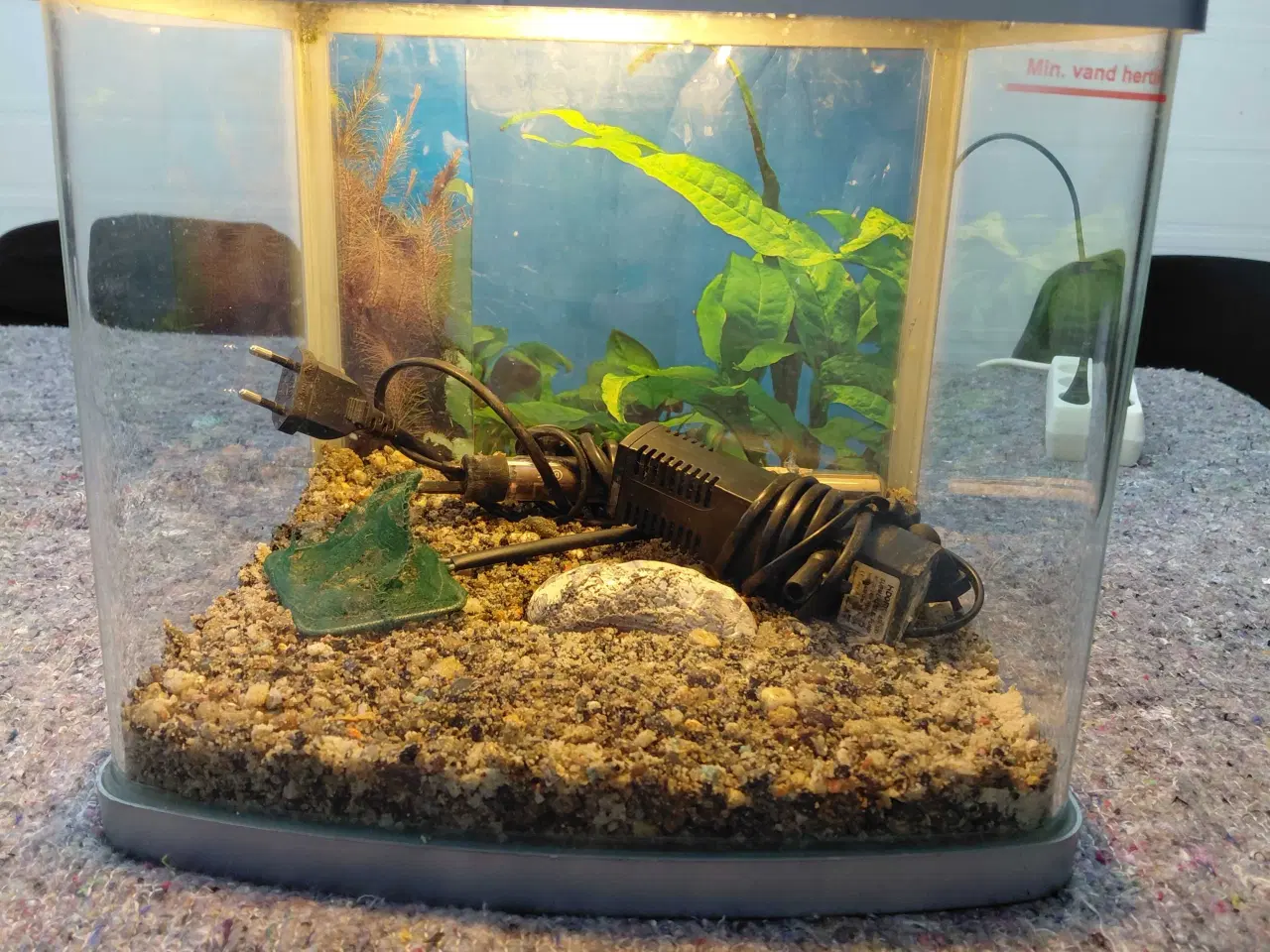 Billede 1 - Akvarier 20L 