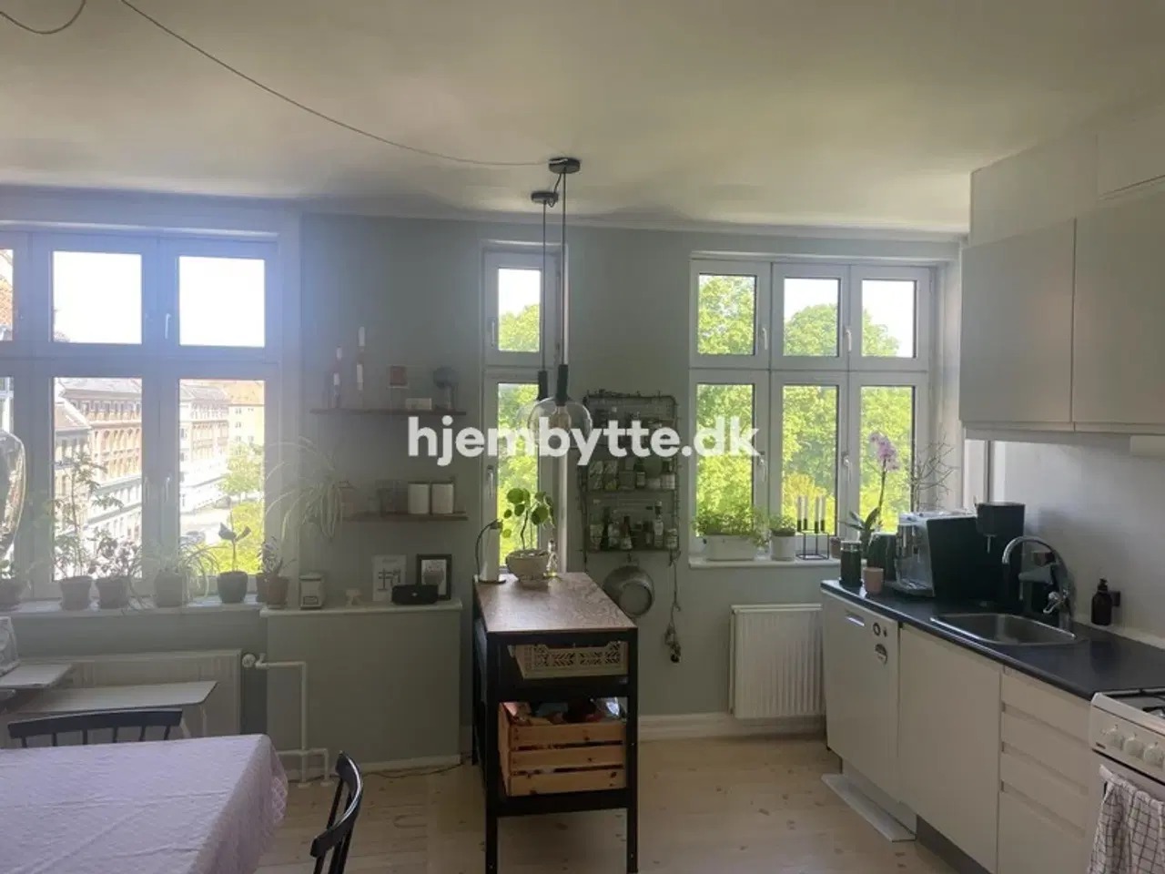 Billede 3 - Hjembytte - TychoBrahesAllé