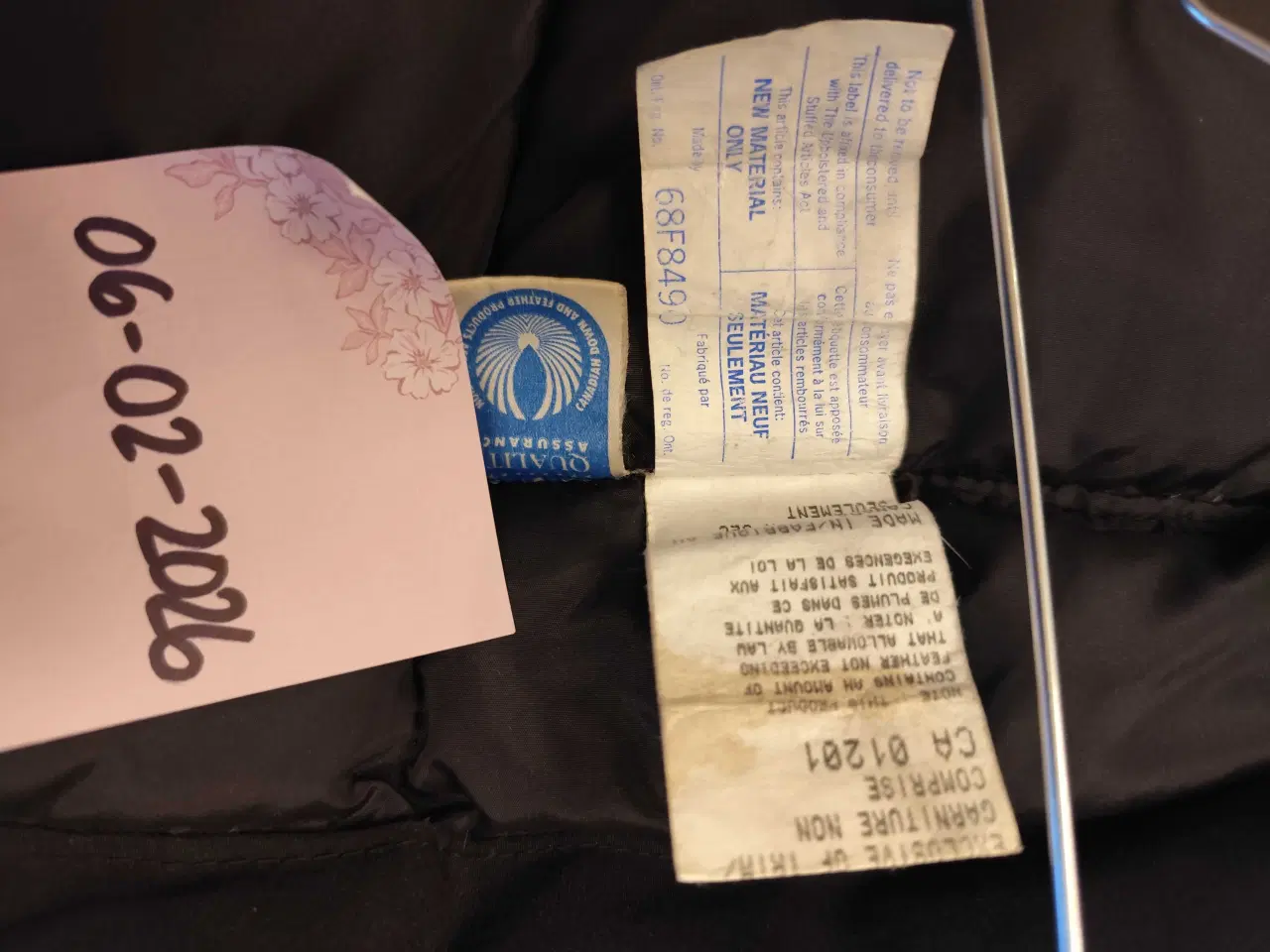 Billede 10 - Canadian goose expedition 