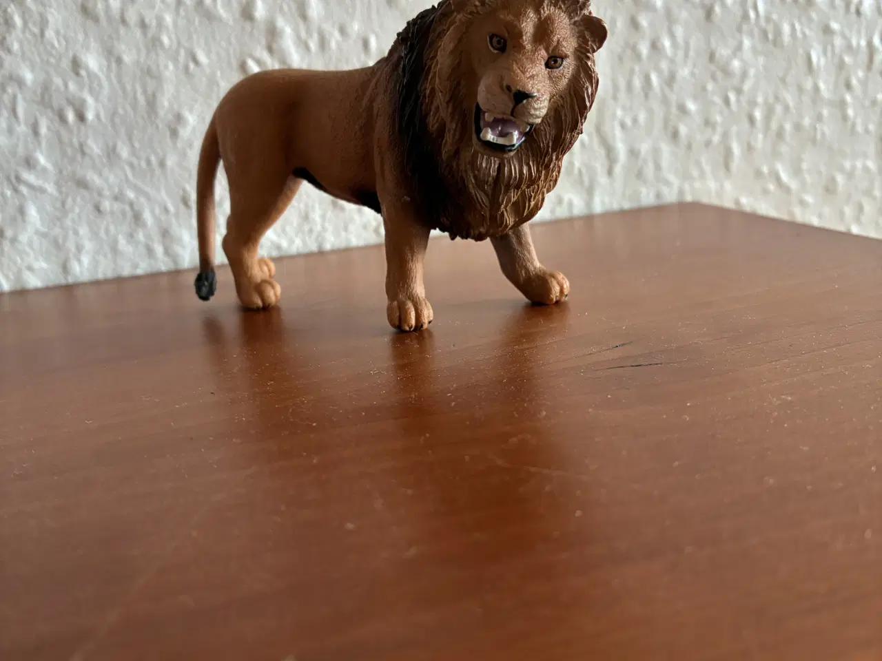 Billede 2 - Forskellige dyrearter 