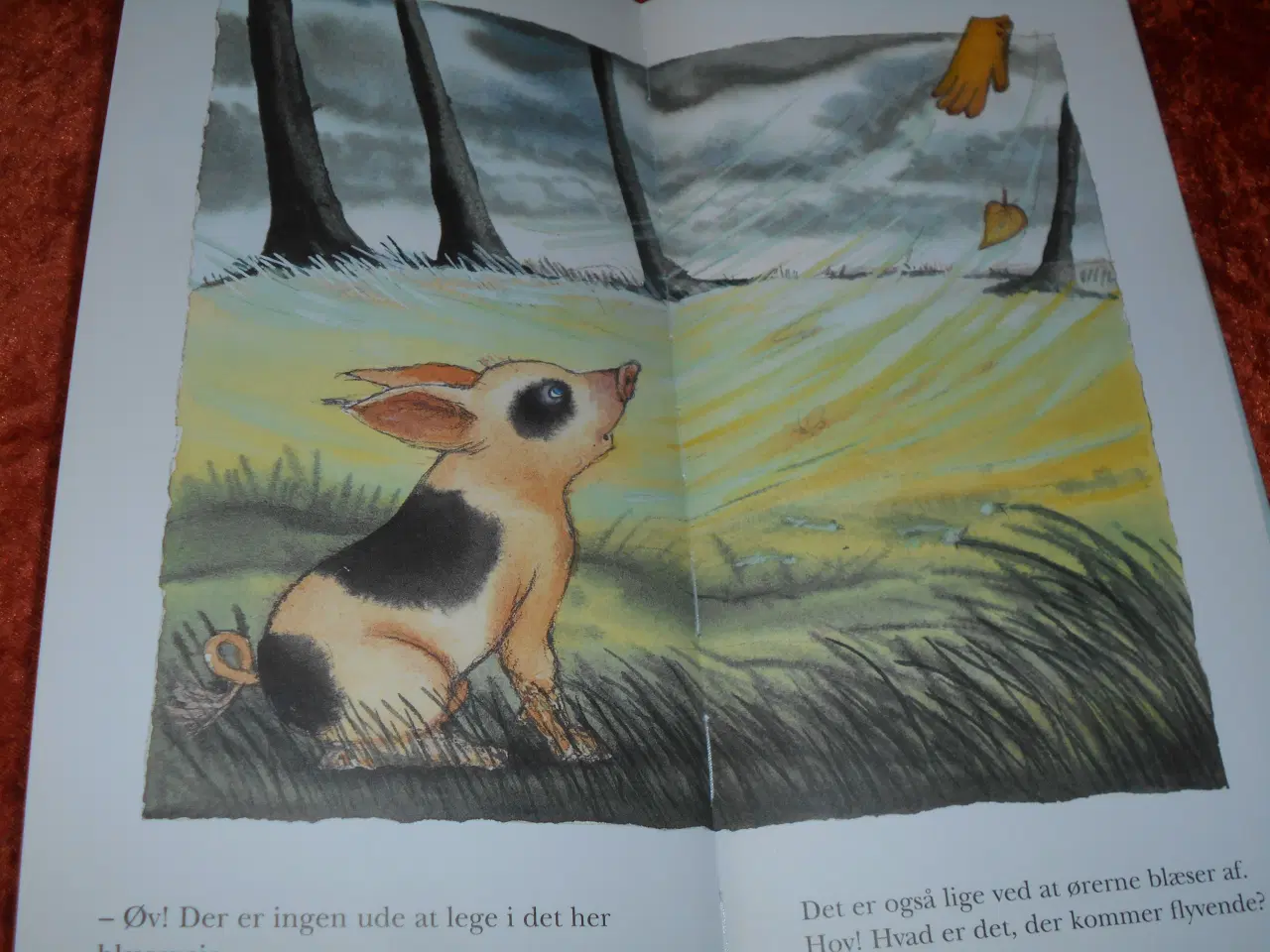 Billede 2 - Hvirvelvinden,  Birde Poulsen