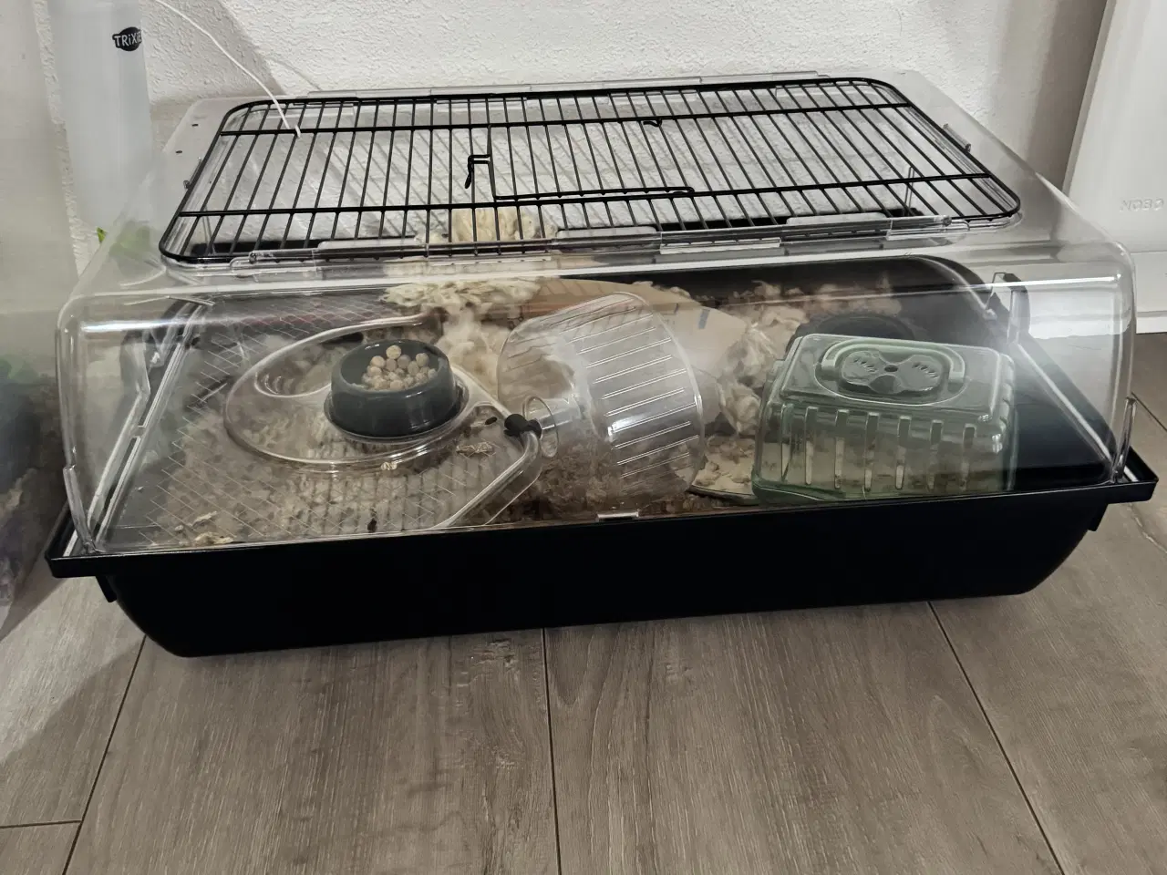 Billede 1 - 2 hamster 🐹 sælges