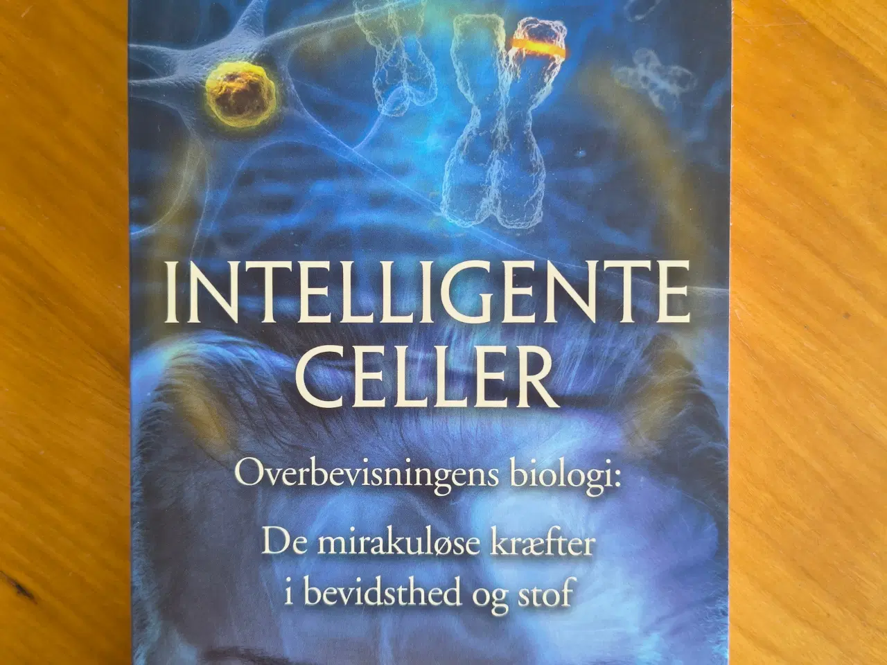 Billede 1 - Intelligente celler af Bruce Lipton