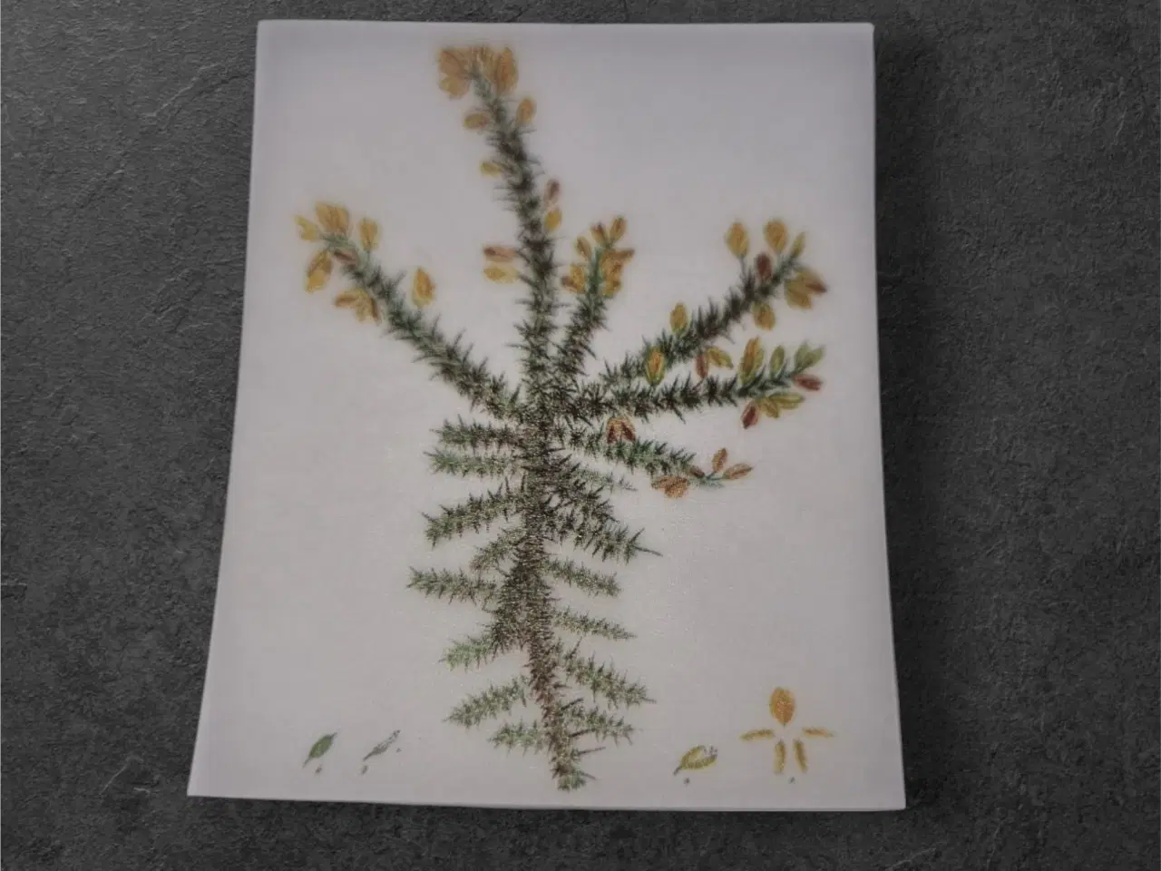 Billede 1 - Botanisk mini-tryk: Botanical Study i fine detalje