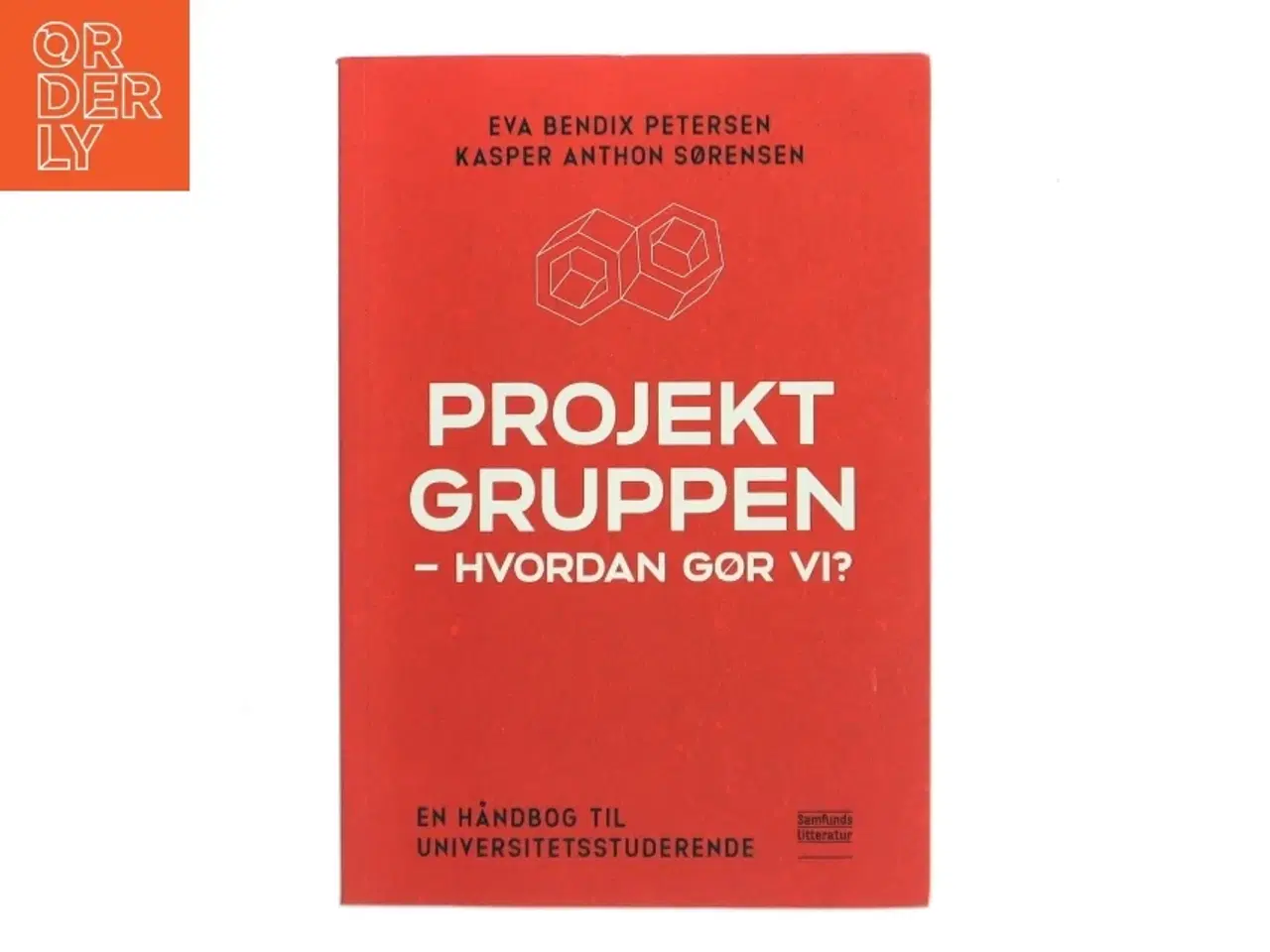 Billede 1 - Projektgruppen - Hvordan gør vi? af Eva Bendix Petersen (Bog)