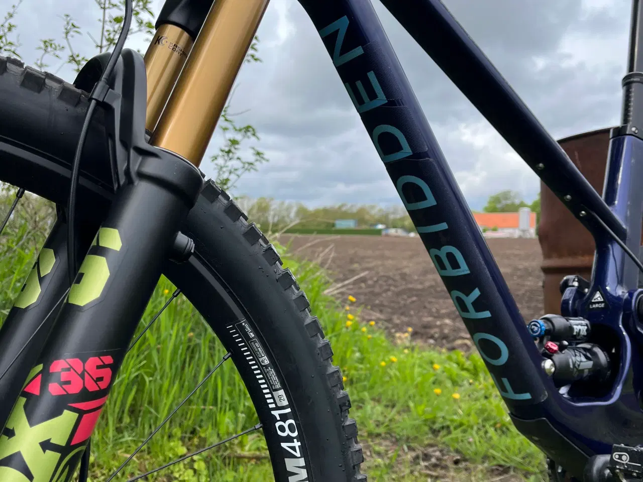 Billede 2 - Forbidden Druid 29 Large
