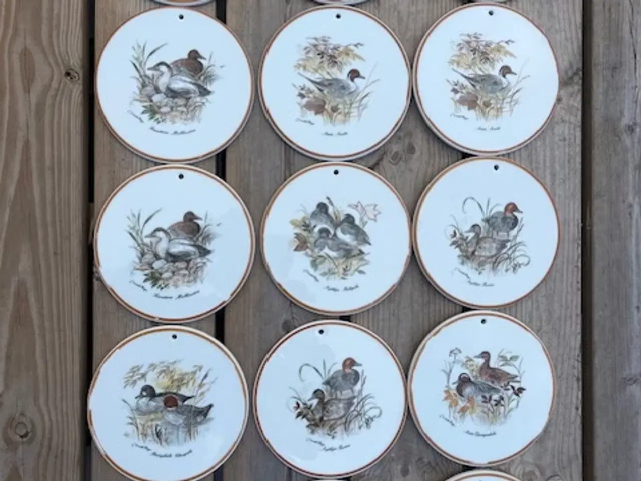 Billede 1 - Platter Mads Stage