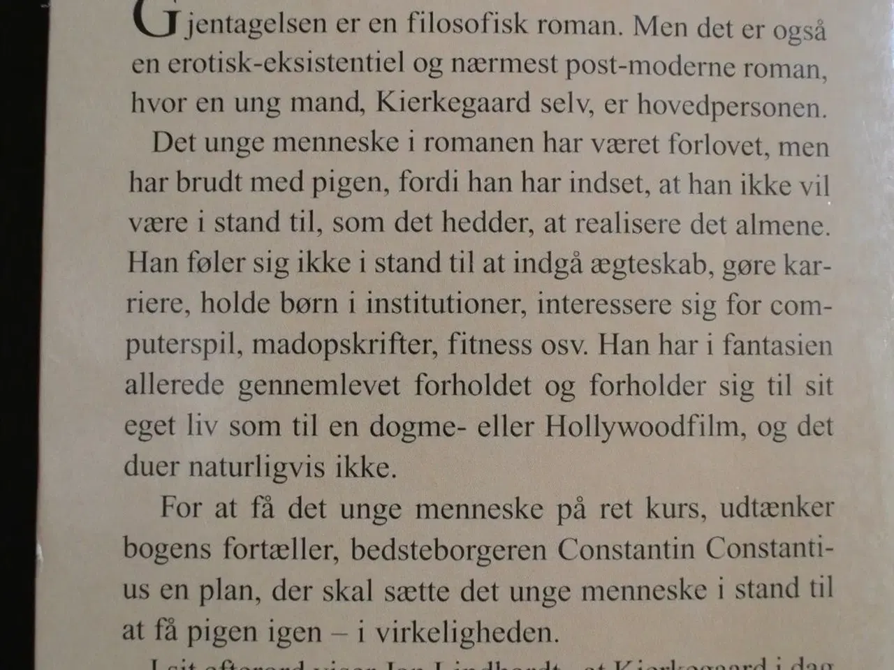 Billede 3 - gjentagelsen, af søren kierkegaard, emne: filosofi