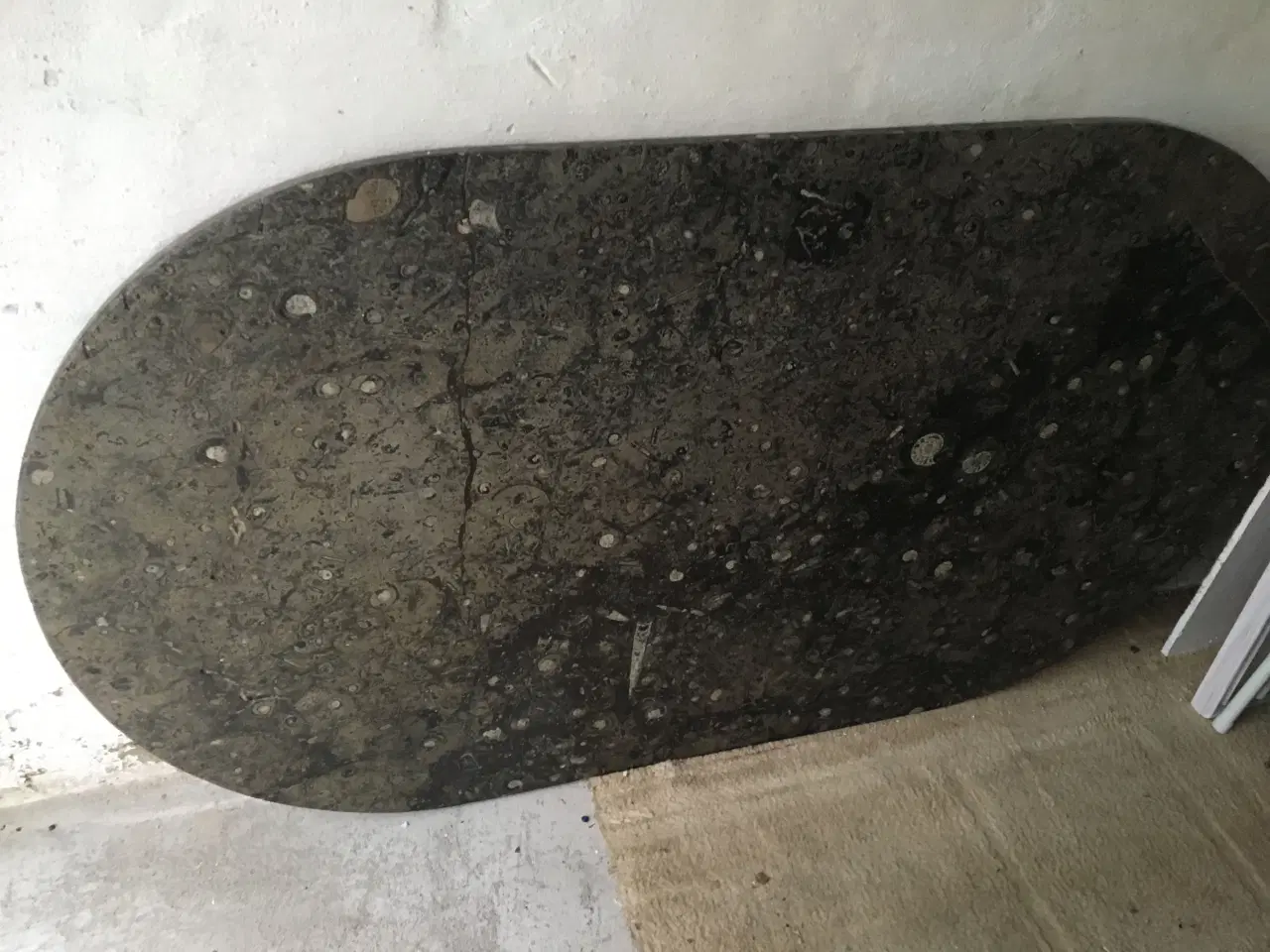 Billede 9 - Atlantic ægte fossile Sten - Bord  helt unik.