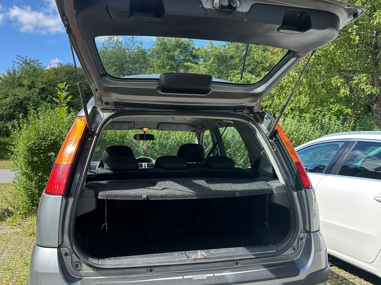 Billede 6 - Suzuki ingis