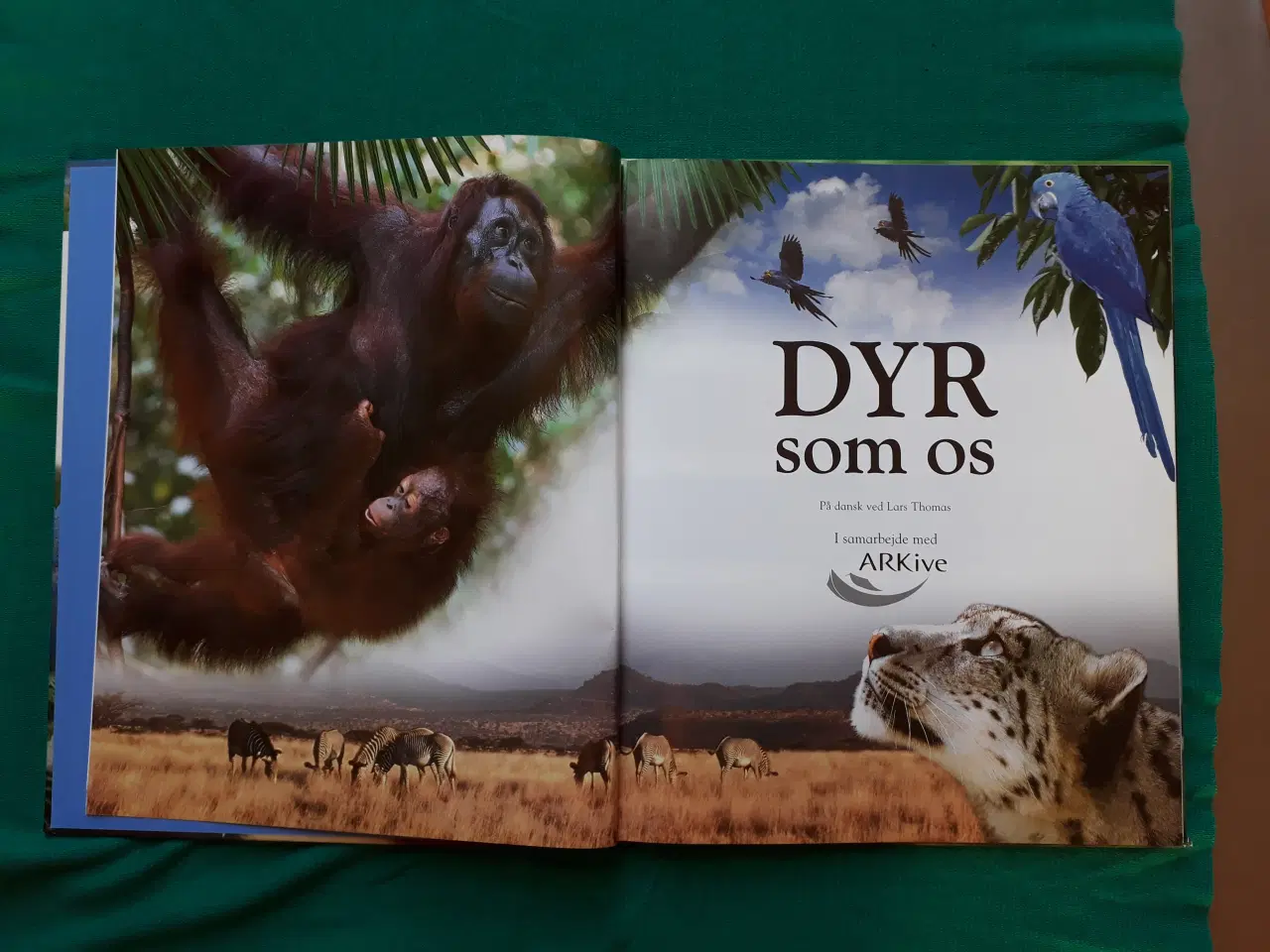 Billede 2 - Dyr som os - Bog