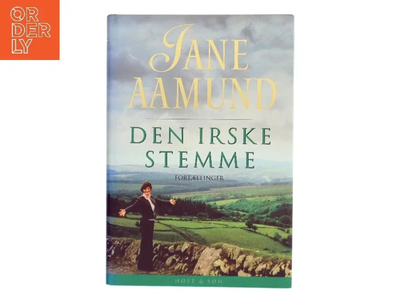 Billede 1 - Den irske stemme : fortællinger af Jane Aamund (Bog)