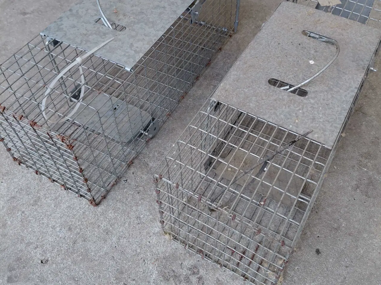 Billede 2 - Fælde til Mår, Rotte, etc.