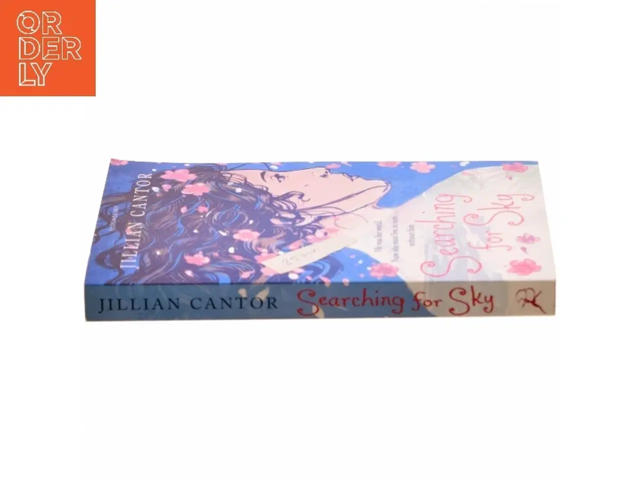 Billede 2 - Searching for Sky af Jillian Cantor (Bog)