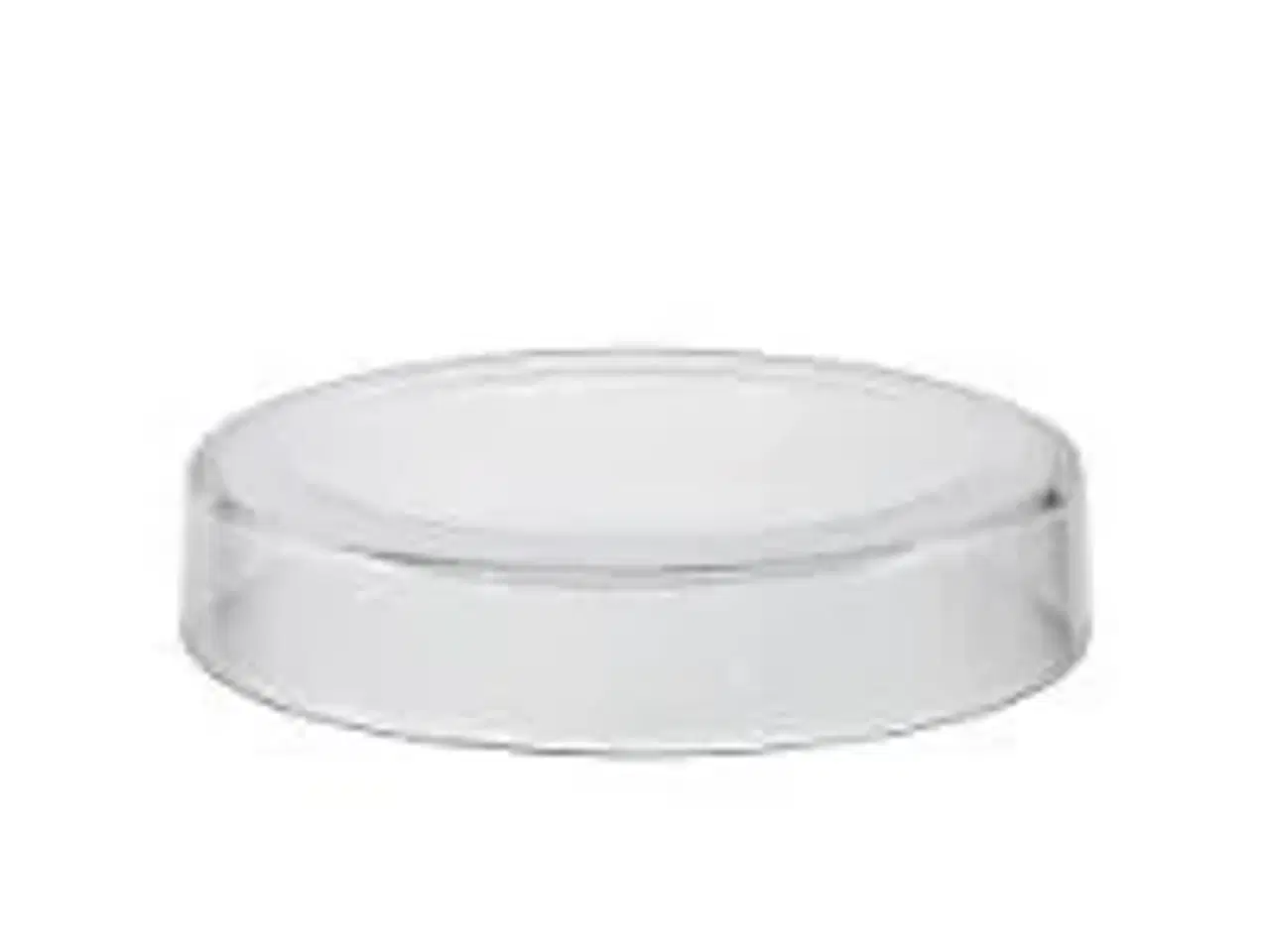 Billede 1 - 12 stk. Serveringstallerken 210 mm ArdaCam