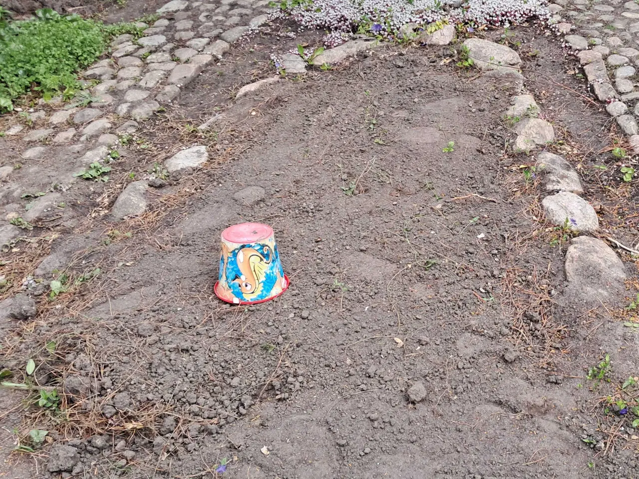 Billede 1 - Mellemstore havesten bortgives 