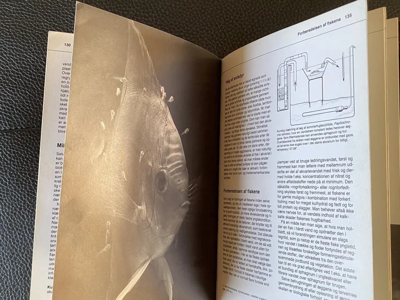 Billede 5 - Politikens Akvariebog 