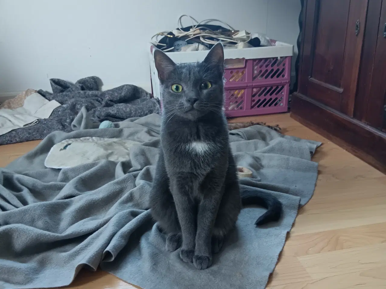 Billede 1 - Grundet flytni g