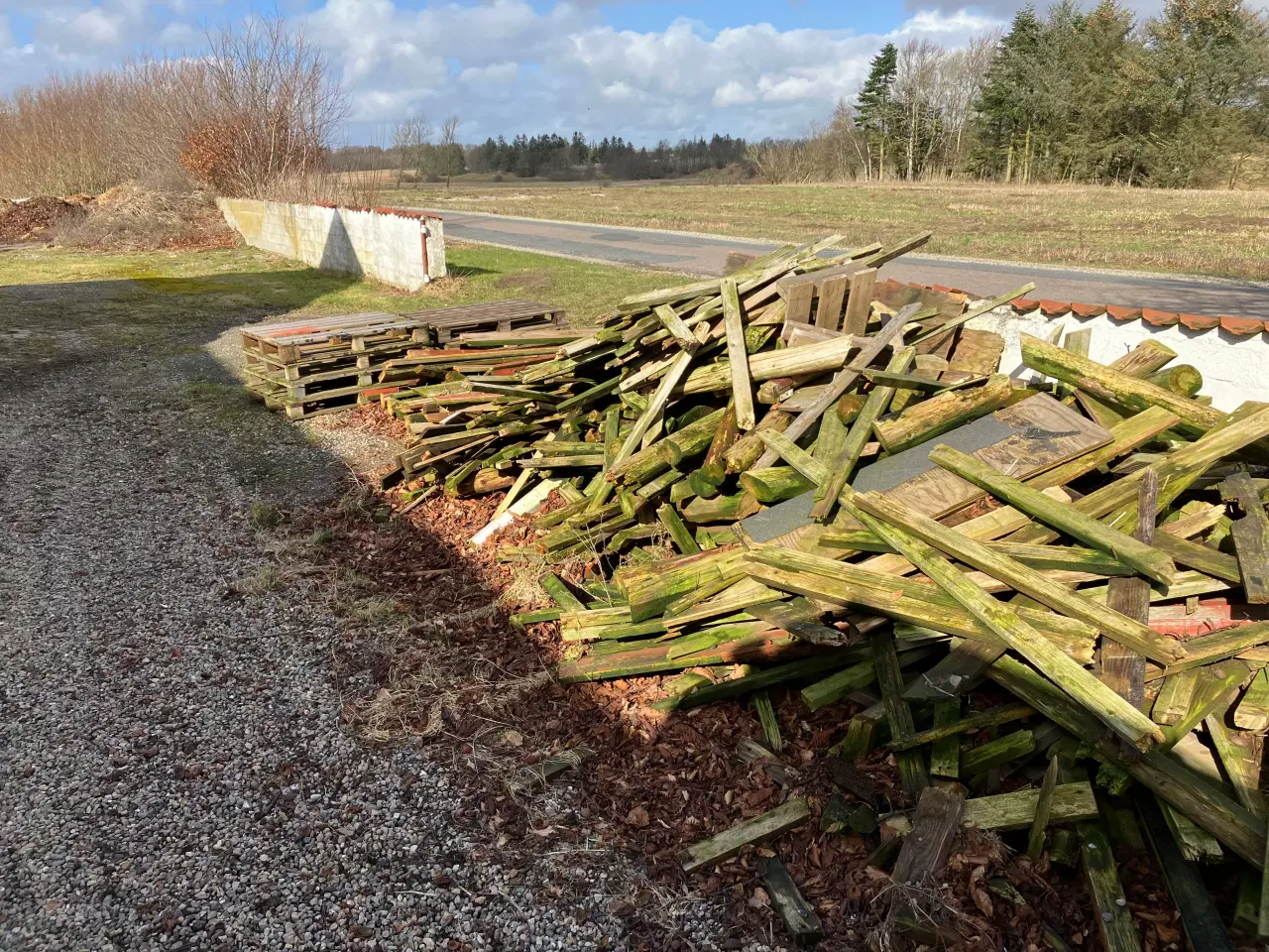 Billede 3 - Affaldstræ - gives væk