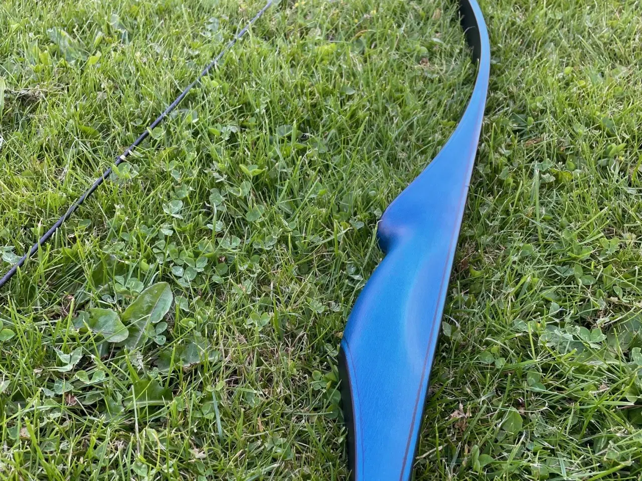 Billede 4 - FALCO LEGEND LANGBUE
