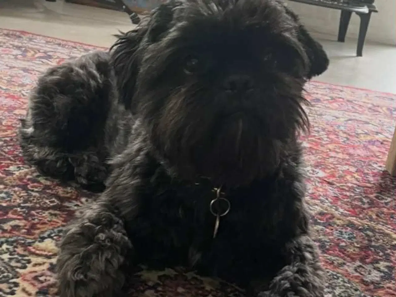 Billede 15 - Små chokoladefarvede uldtotter 🤎