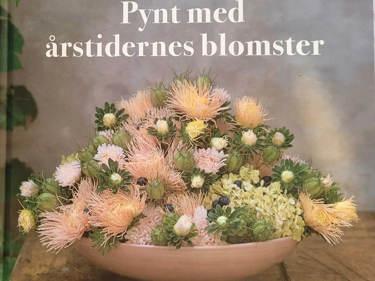 Billede 1 - Hanne Ploug  250kr. for alle 11 Blomster bøger..