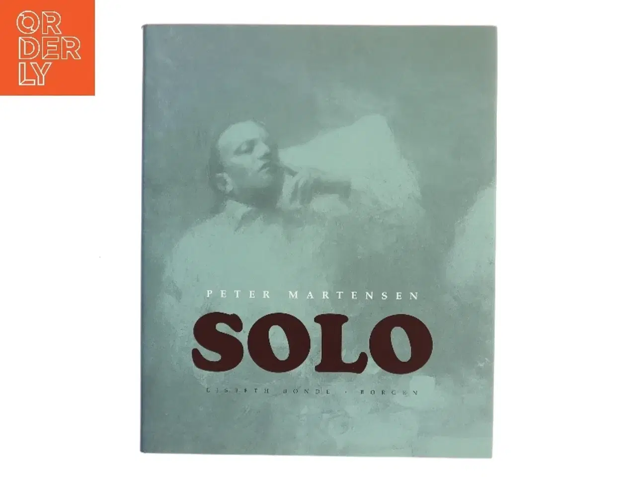 Billede 1 - Peter Martensen : Solo af Lisbeth Bonde (Bog)