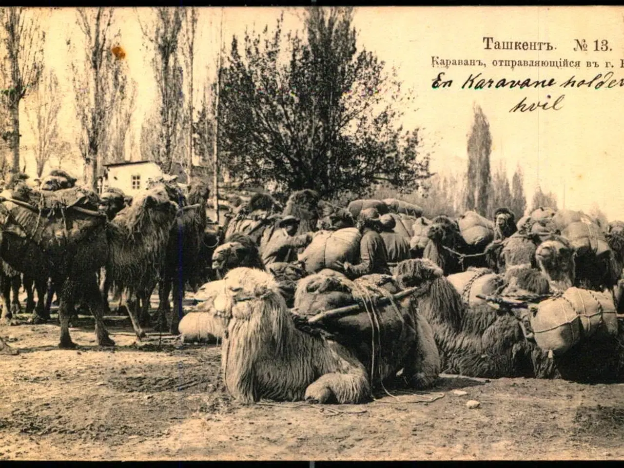 Billede 1 - Tasjkent - En Karavane som går til Vernyj (Nuværende Almaty Kasakhstan ) - Brugt