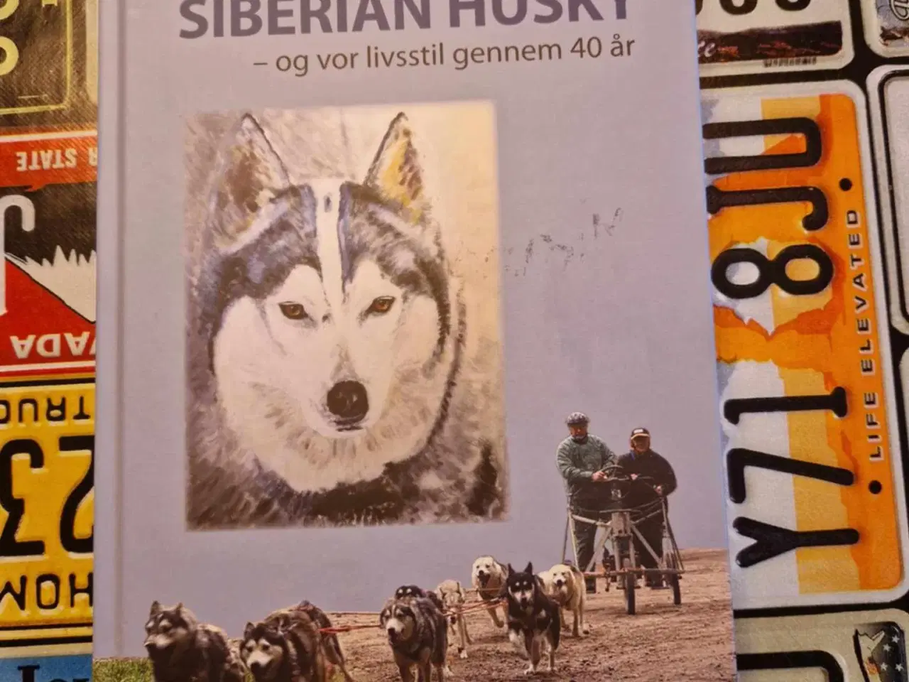 Billede 1 - Siberian husky og vor livsstil gennem 40 år 